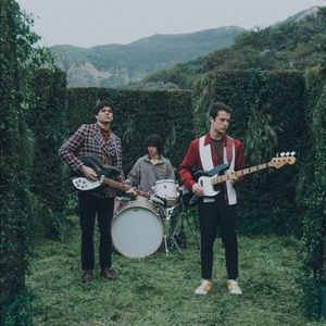 Meet your Posher, Elisa